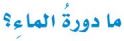 دورة الماء